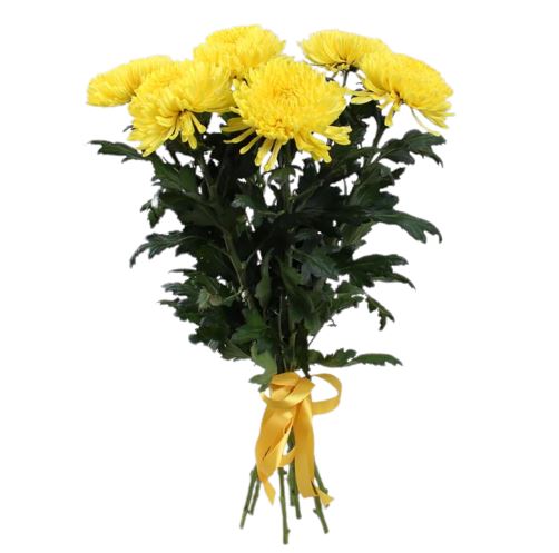 Magnum Yellow Chrysanthemum Bouquet