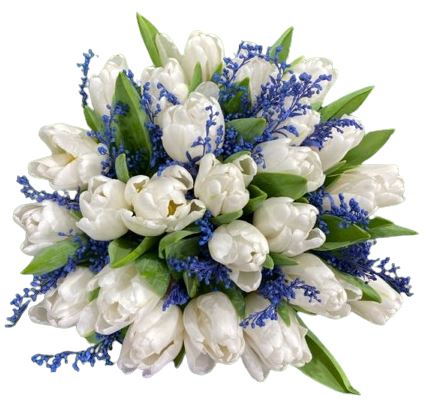 Bouquet of Tulips with Blue