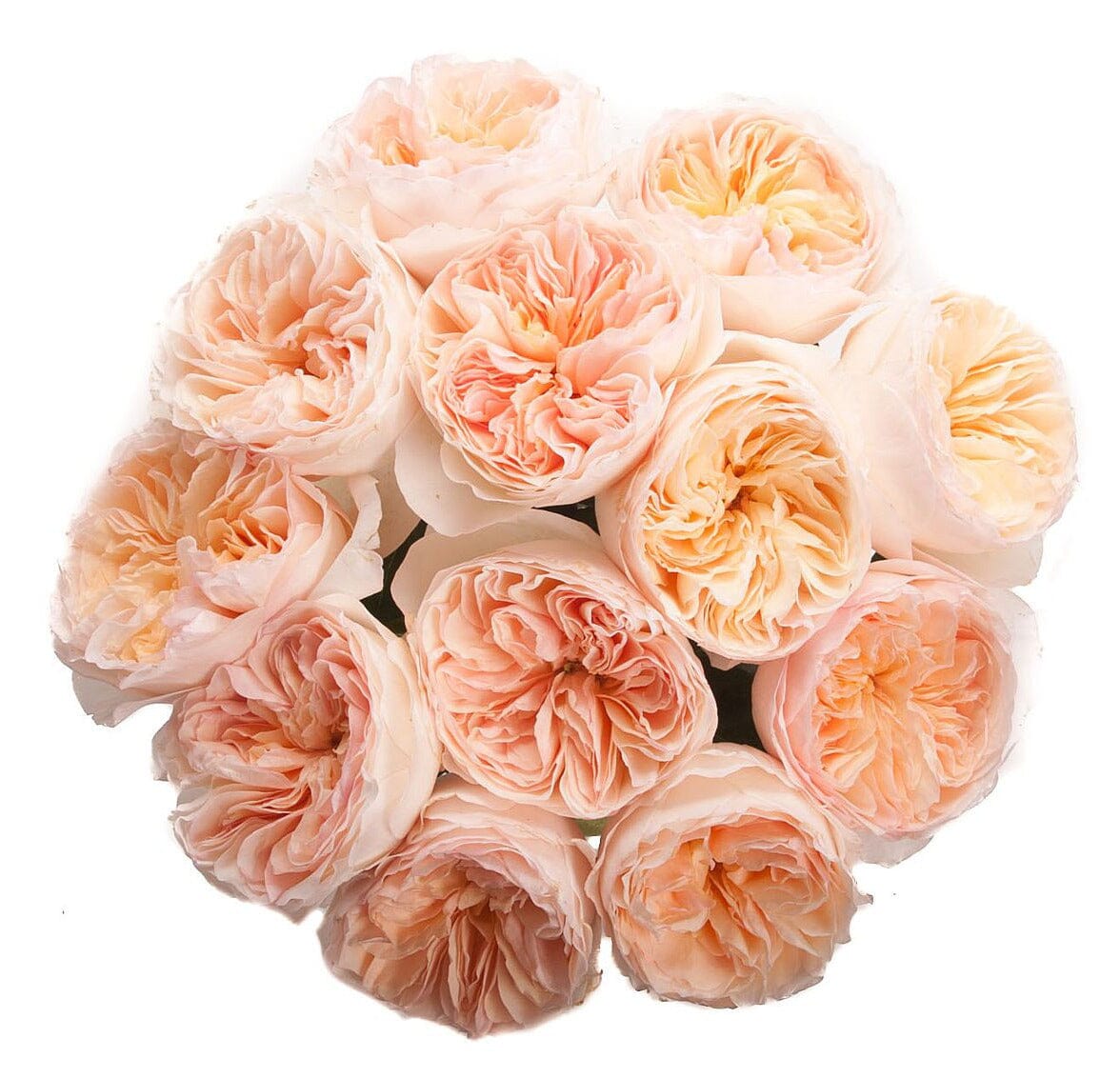 Luxury Peach Garden Roses Bouquet