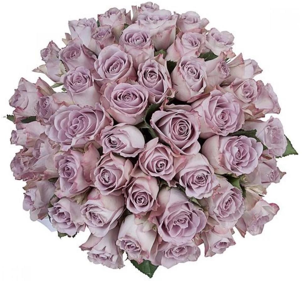 Memory Lane Lavender Roses Bouquet