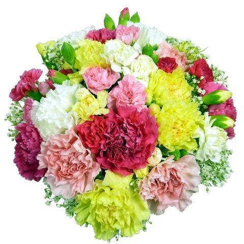 Multicolored Carnations with Gypsophila Bouquet