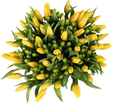 Bouquet of Tulips with Green Hypericum
