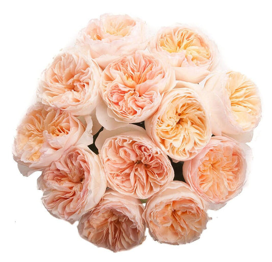 Luxury Peach Garden Roses Bouquet
