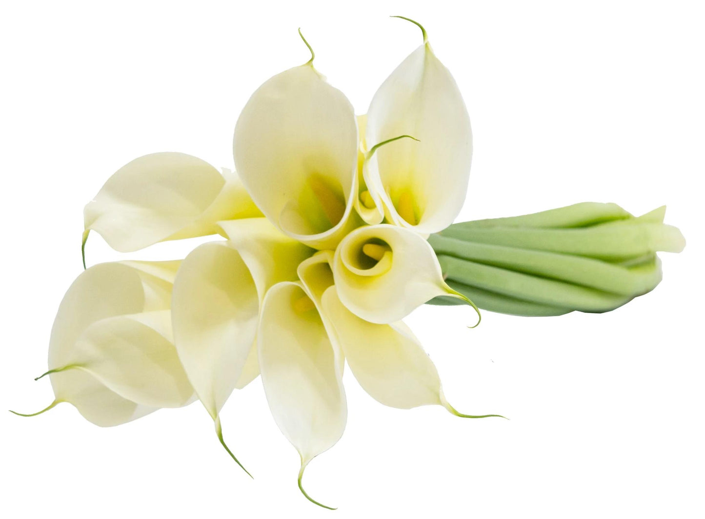 Luxury White Calla Lily Bridal Bouquet
