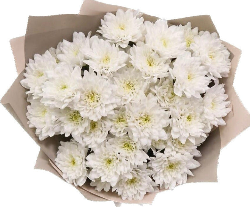 Luxury White Chrysanthemum Bouquet