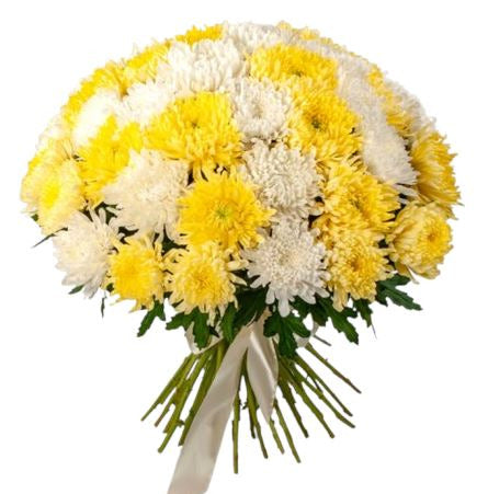 Luxury White & Yellow Chrysanthemum Bouquet