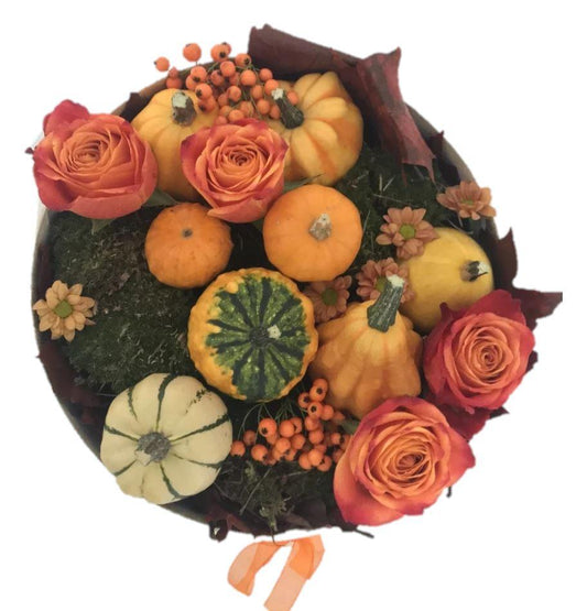 Mini Pumpkin Arrangement in Box