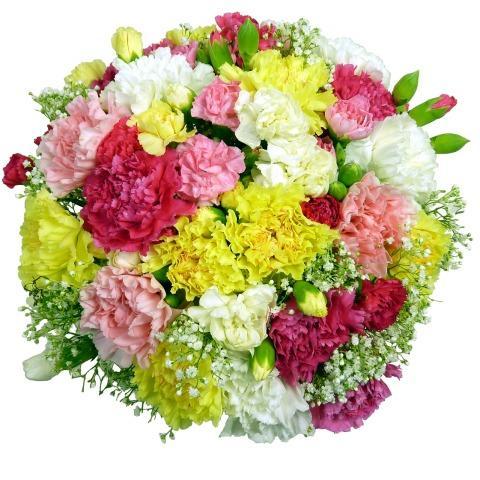 Multicolored  Carnations with Gypsophila Bouquet