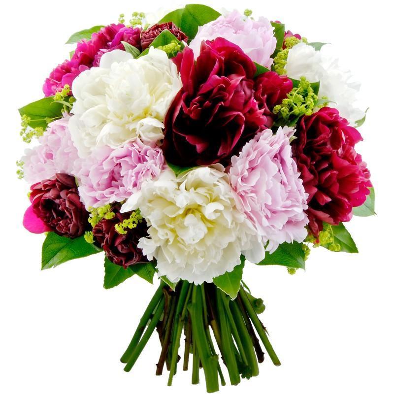 Palette of Peonies Bouquet