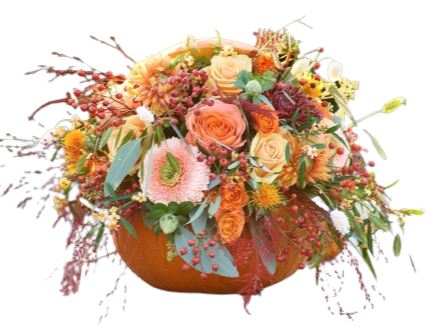Peach and Pink Pumpkin Decor